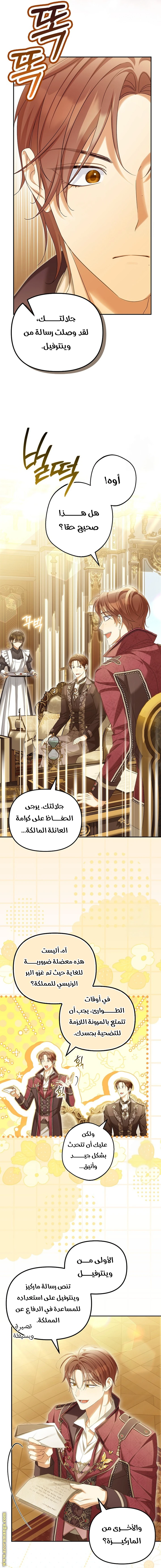الصفحة 13