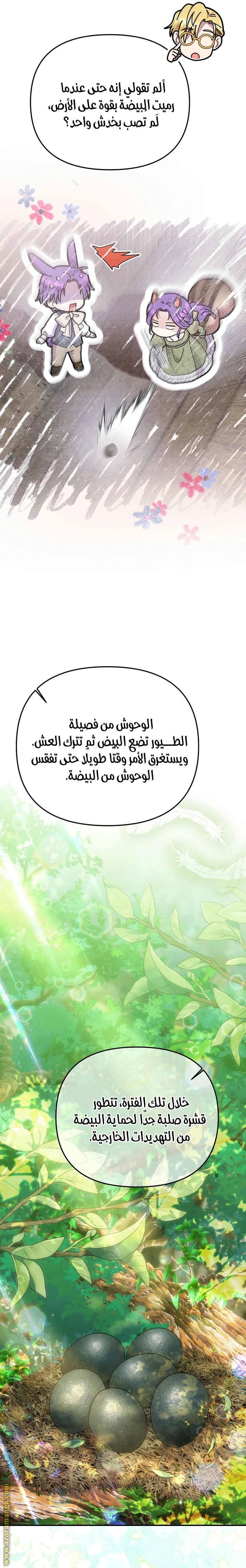 الصفحة 10