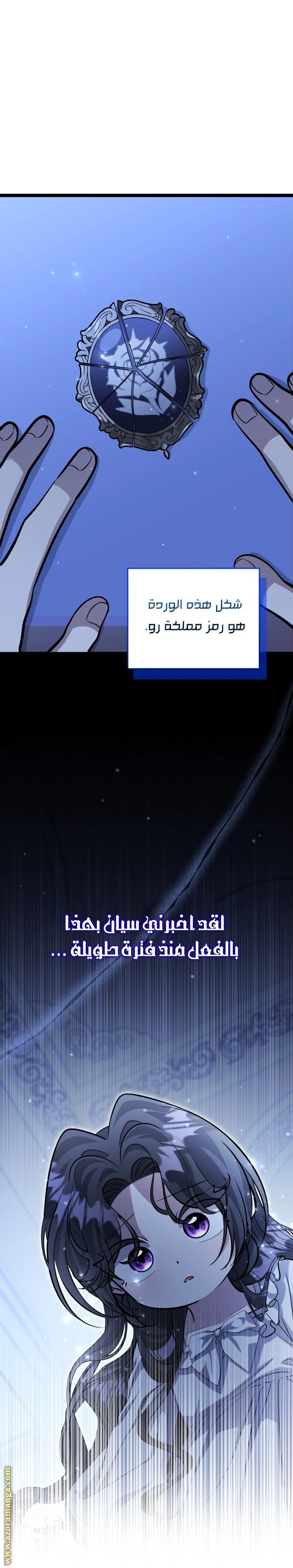 الصفحة 25