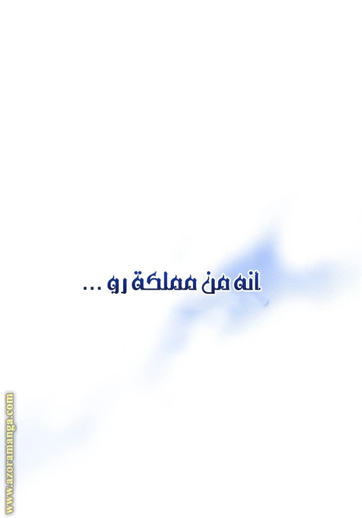 الصفحة 26