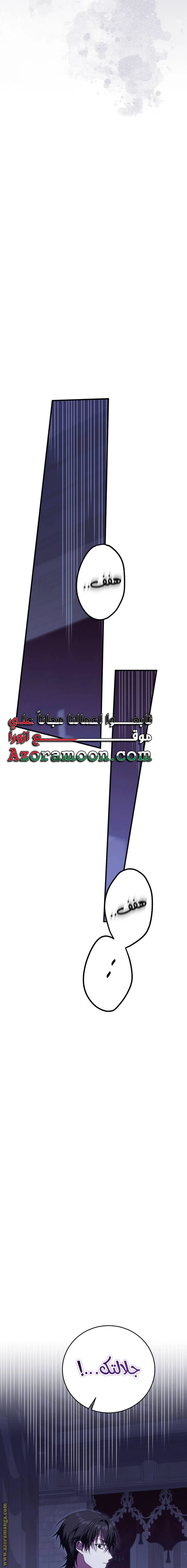 الصفحة 21