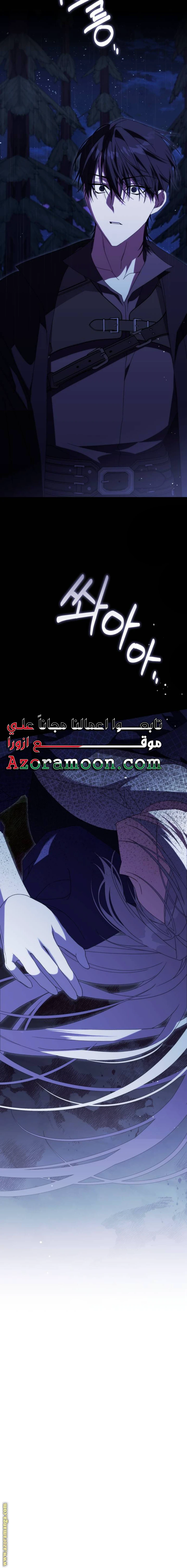 الصفحة 25