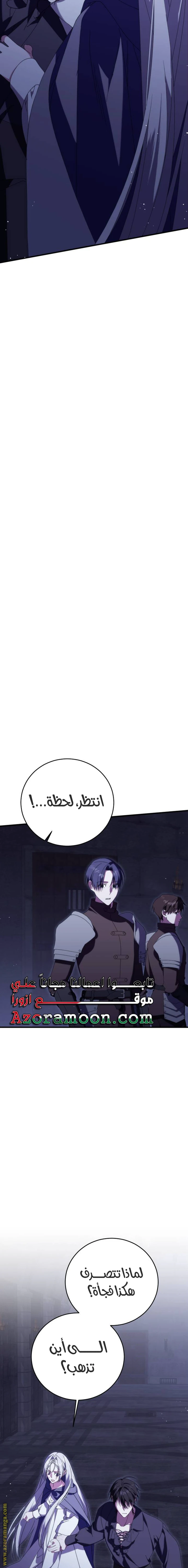 الصفحة 27