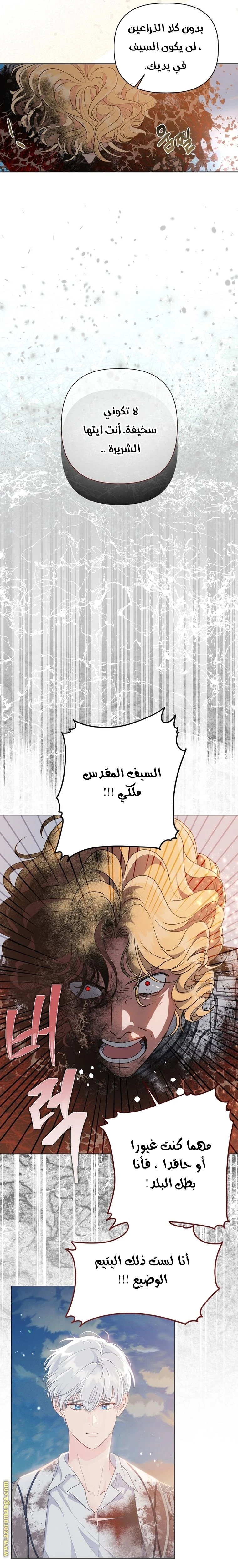 الصفحة 25