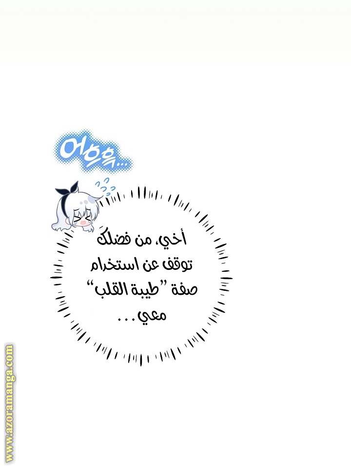 الصفحة 21