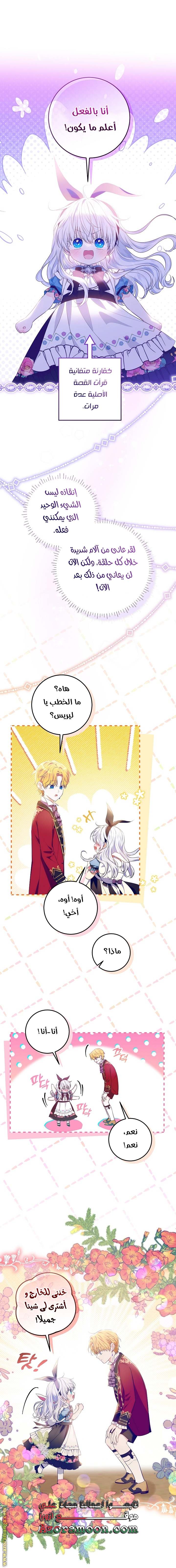 الصفحة 26