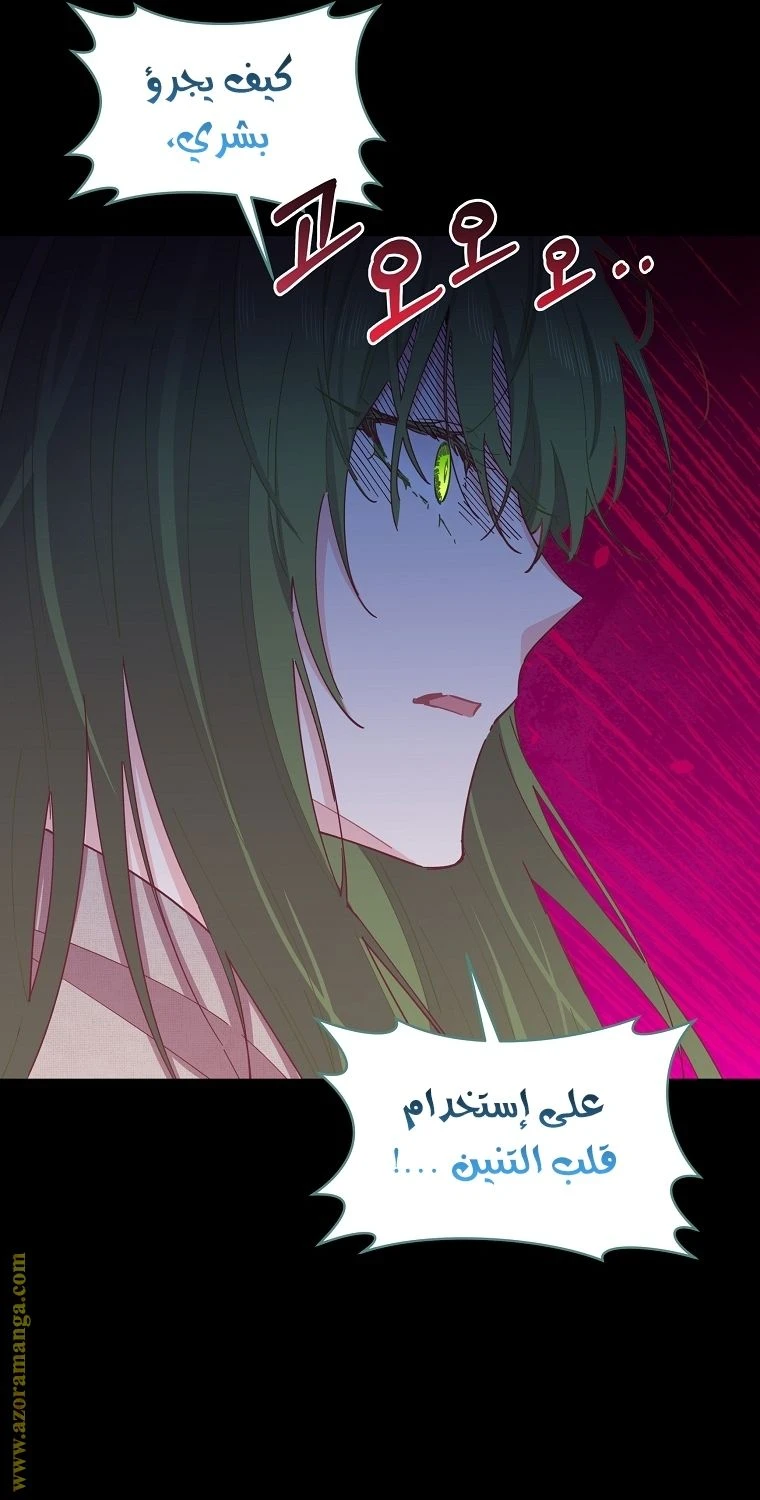 الصفحة 24