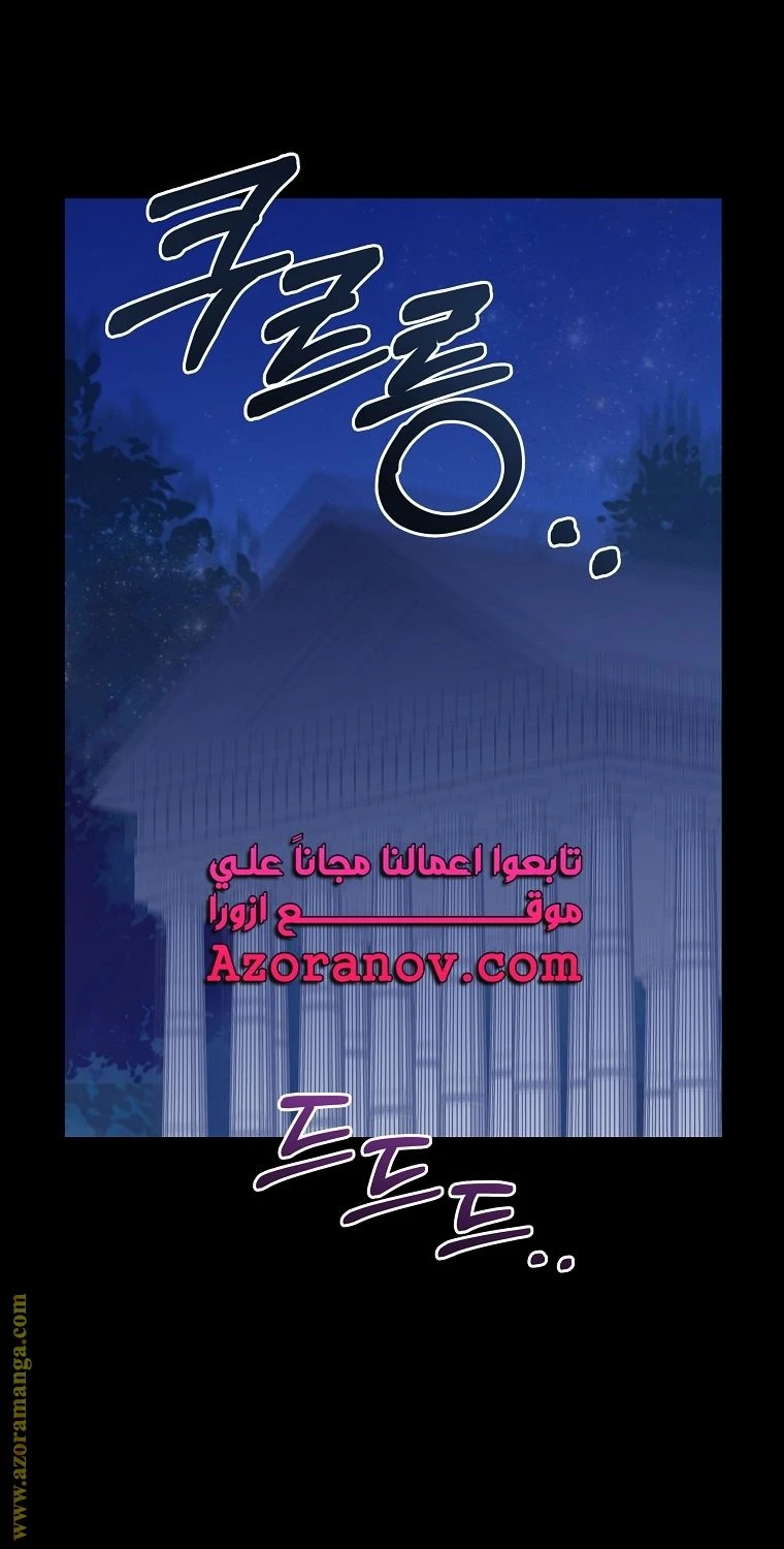 الصفحة 25