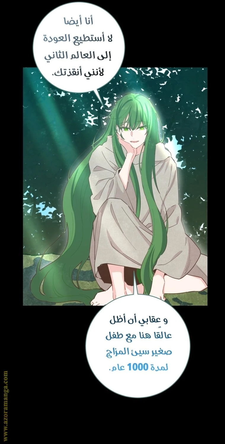 الصفحة 43