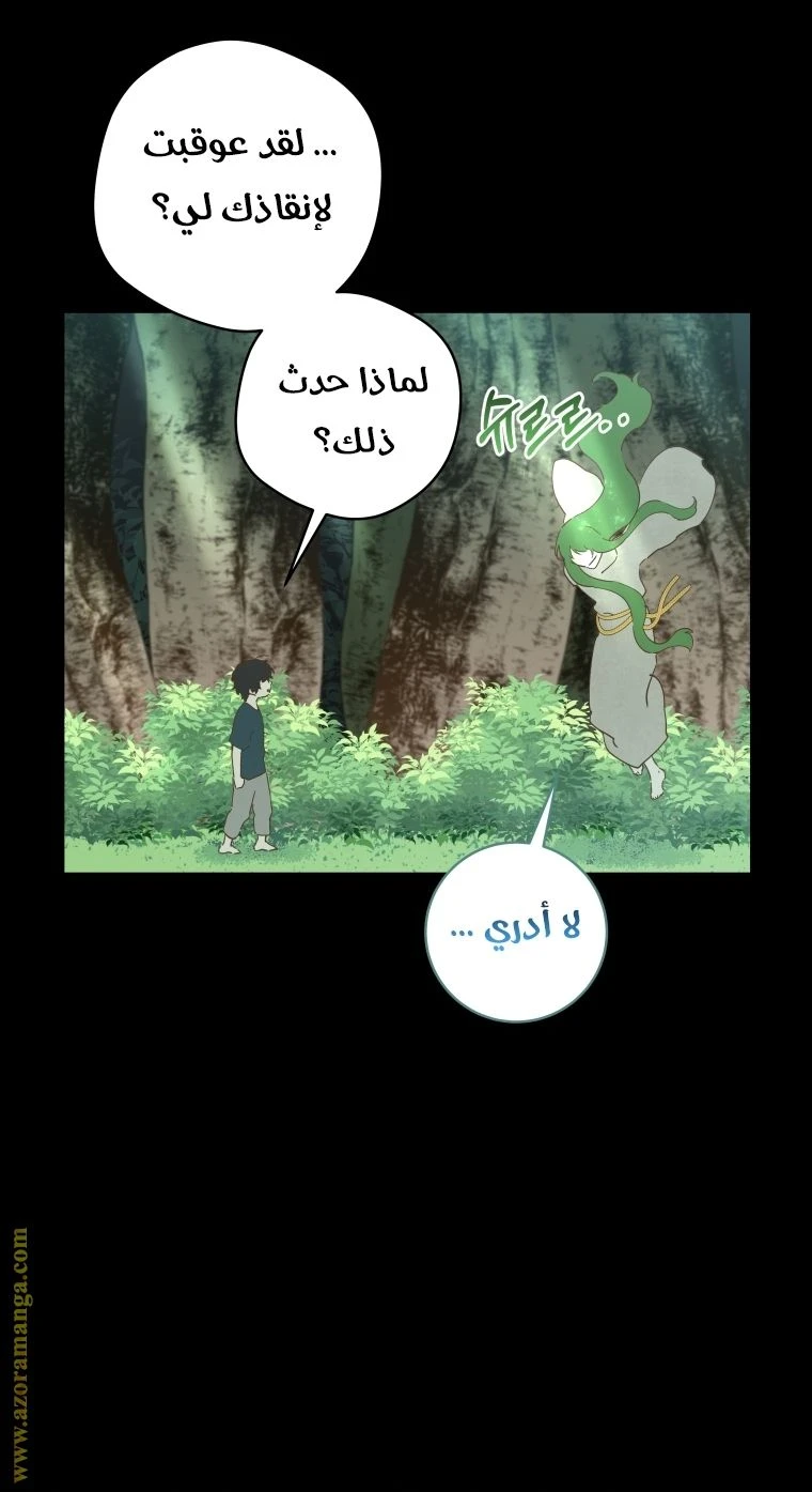 الصفحة 47
