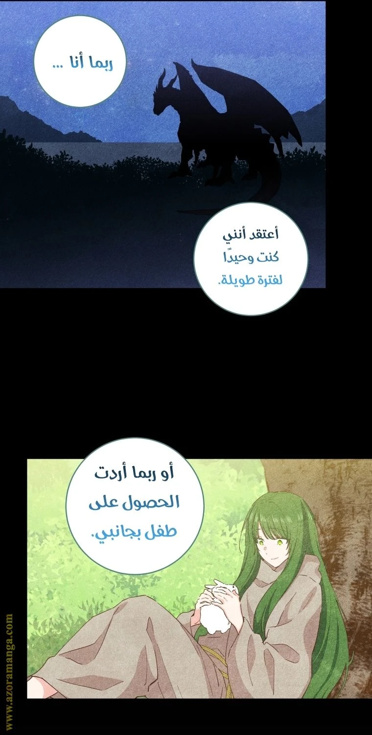 الصفحة 48