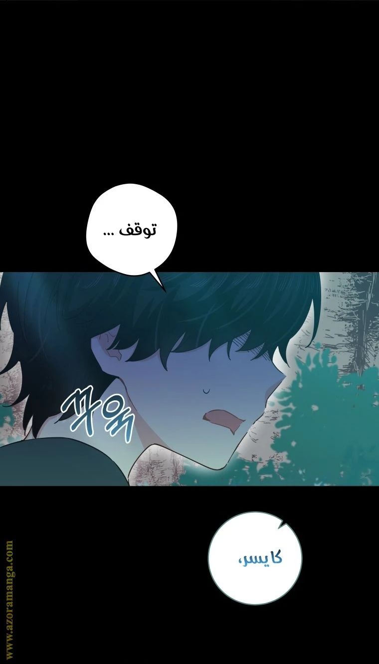 الصفحة 52