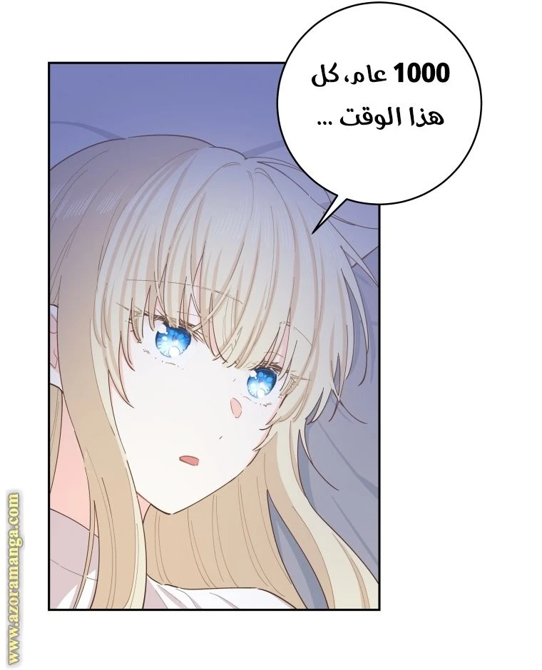 الصفحة 66