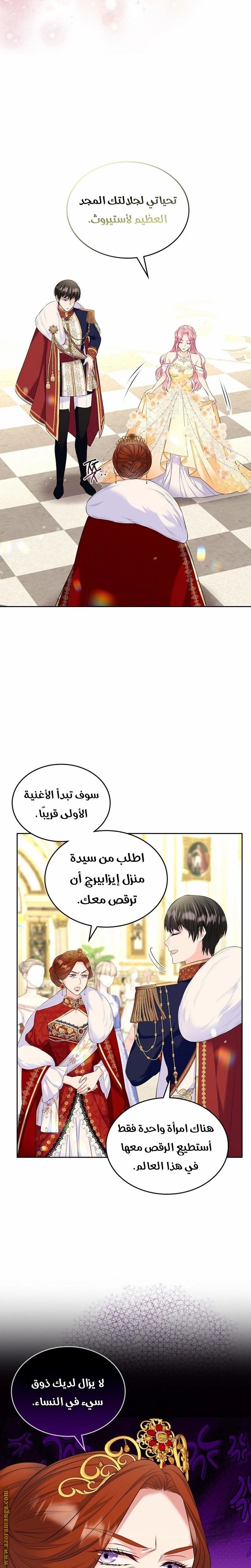 الصفحة 13