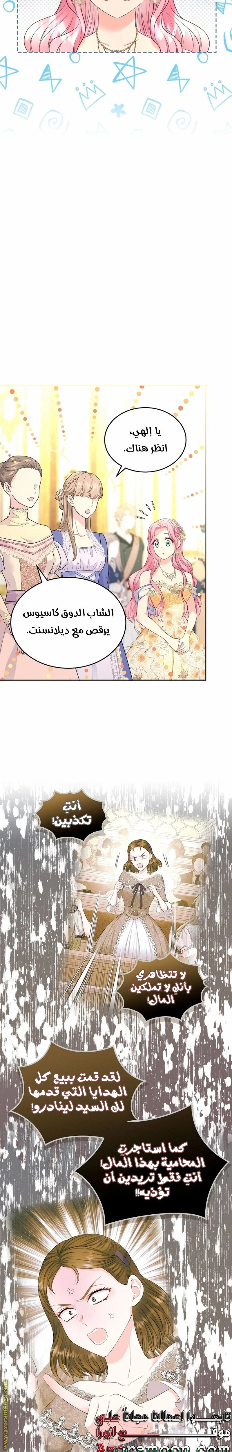الصفحة 17