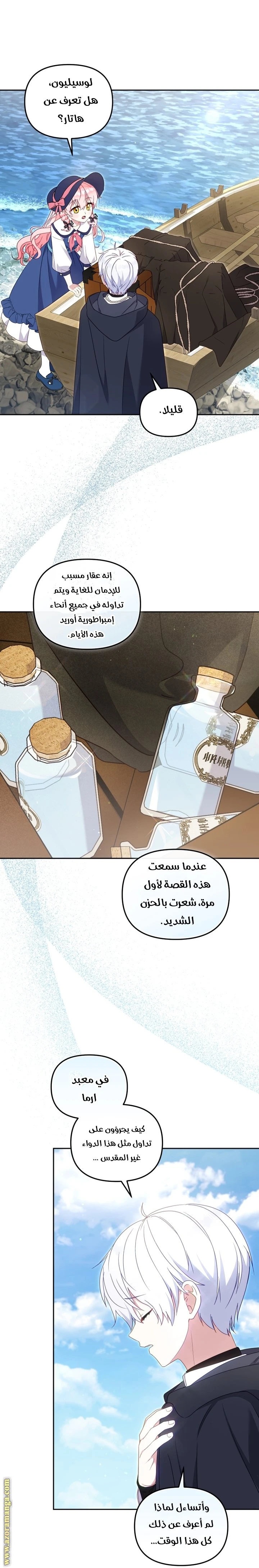 الصفحة 12