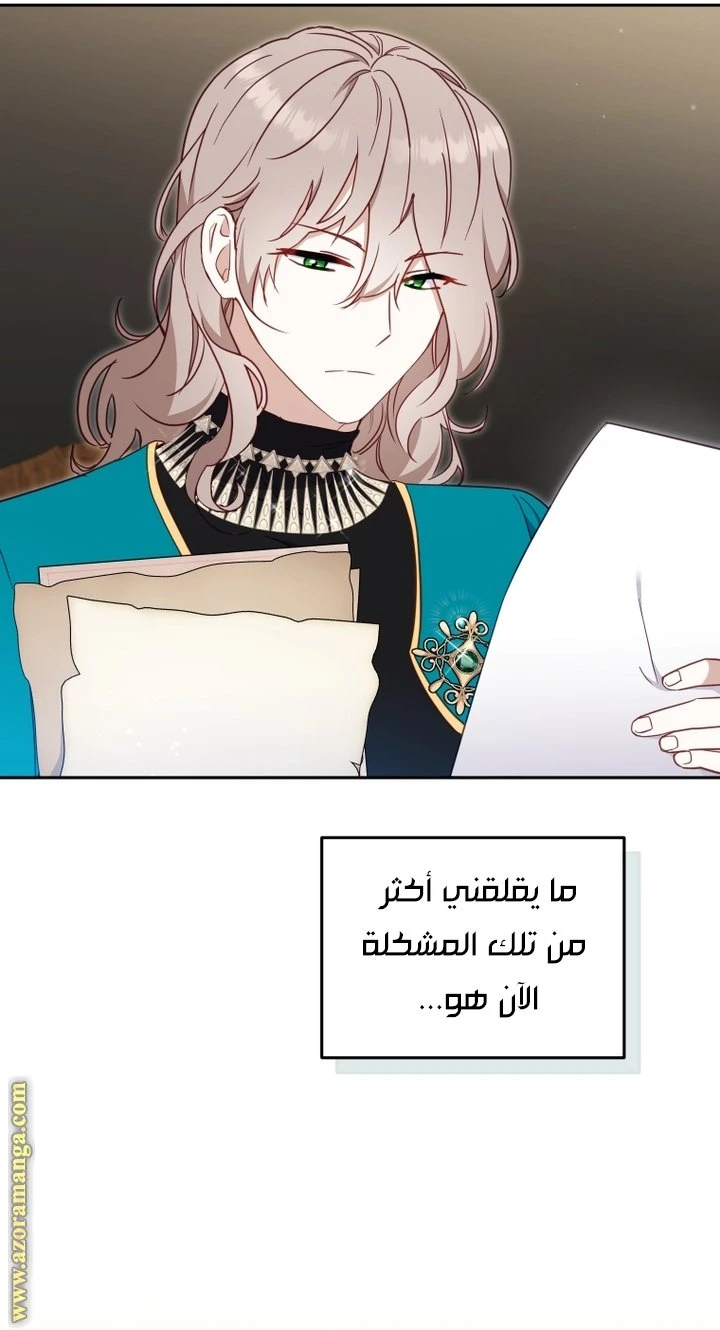 الصفحة 26