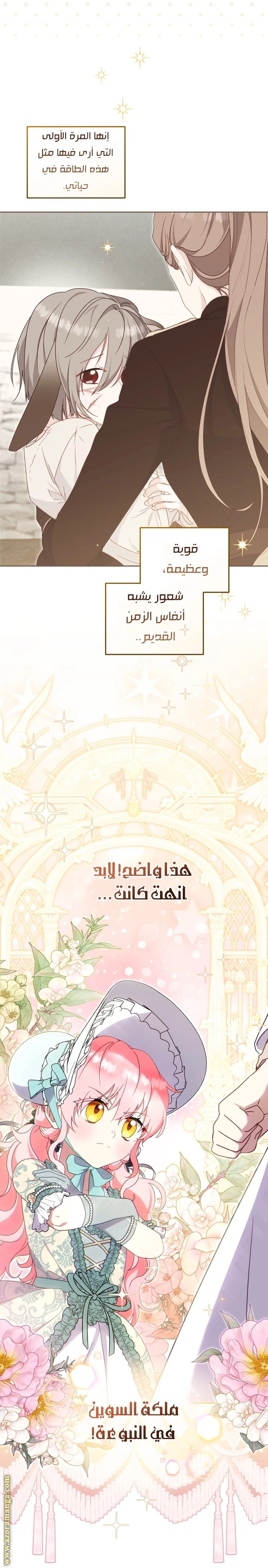 الصفحة 40