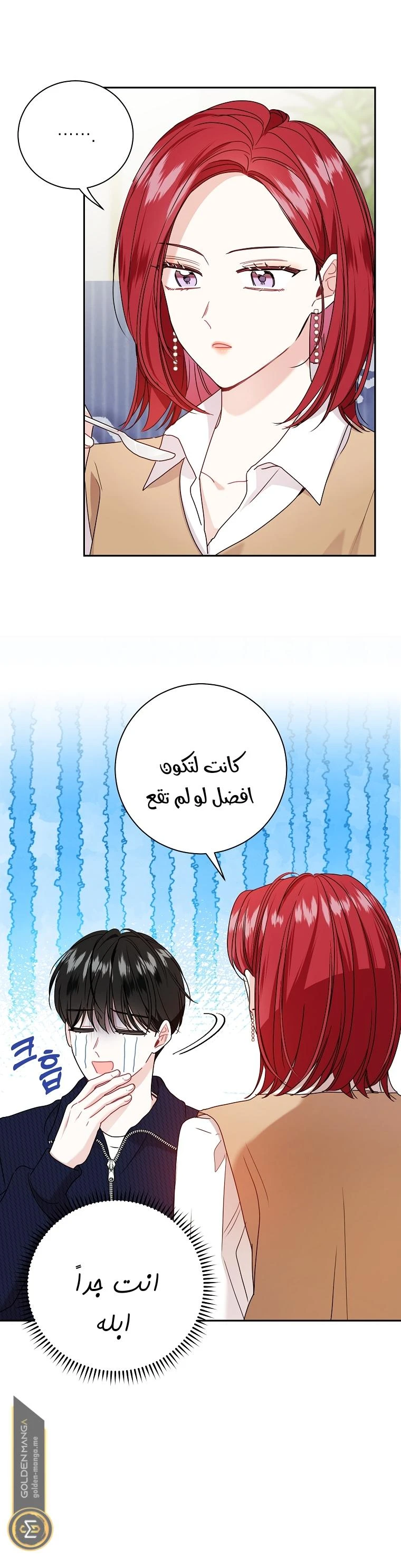 الصفحة 13