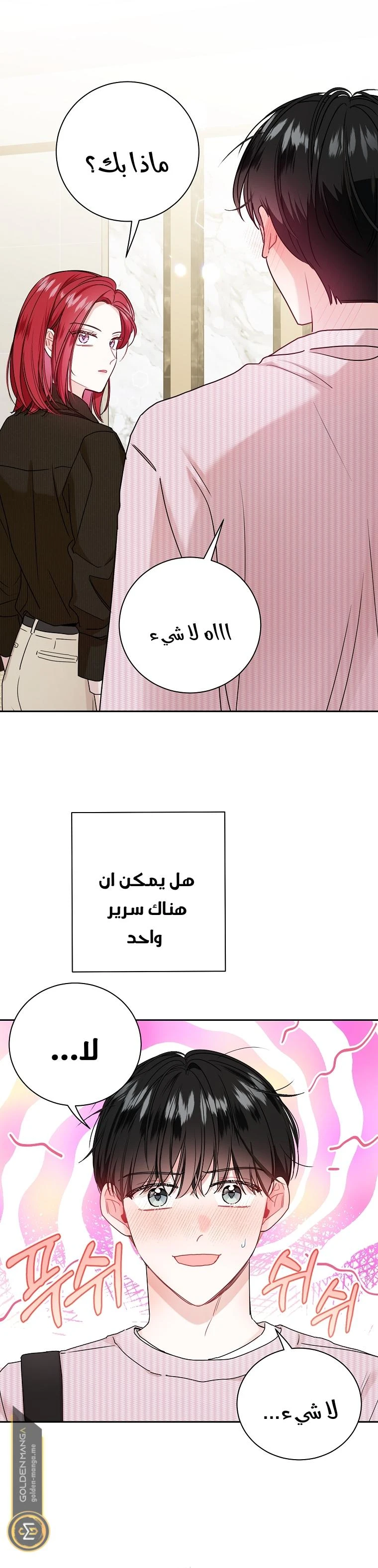 الصفحة 27