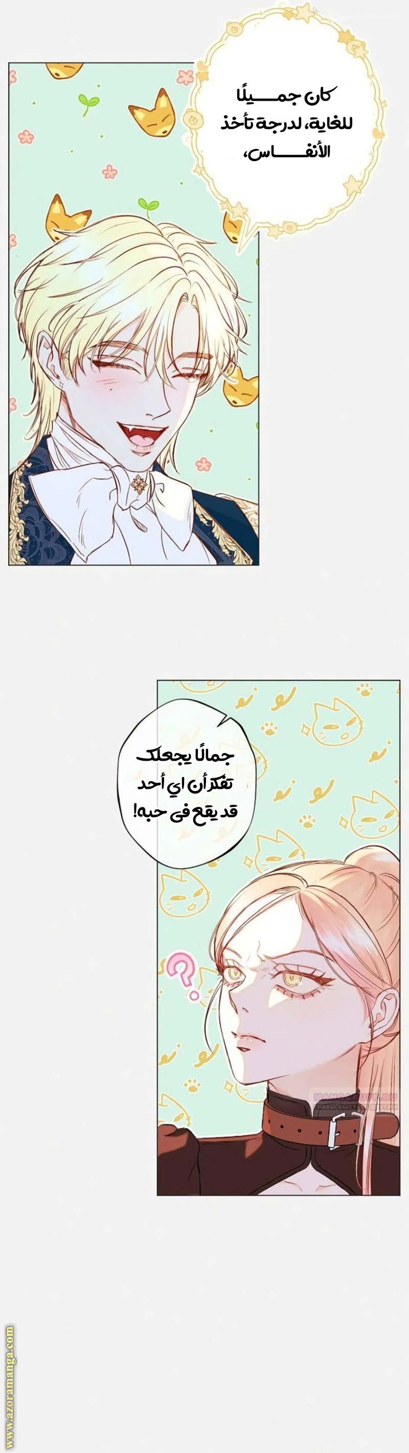 الصفحة 17
