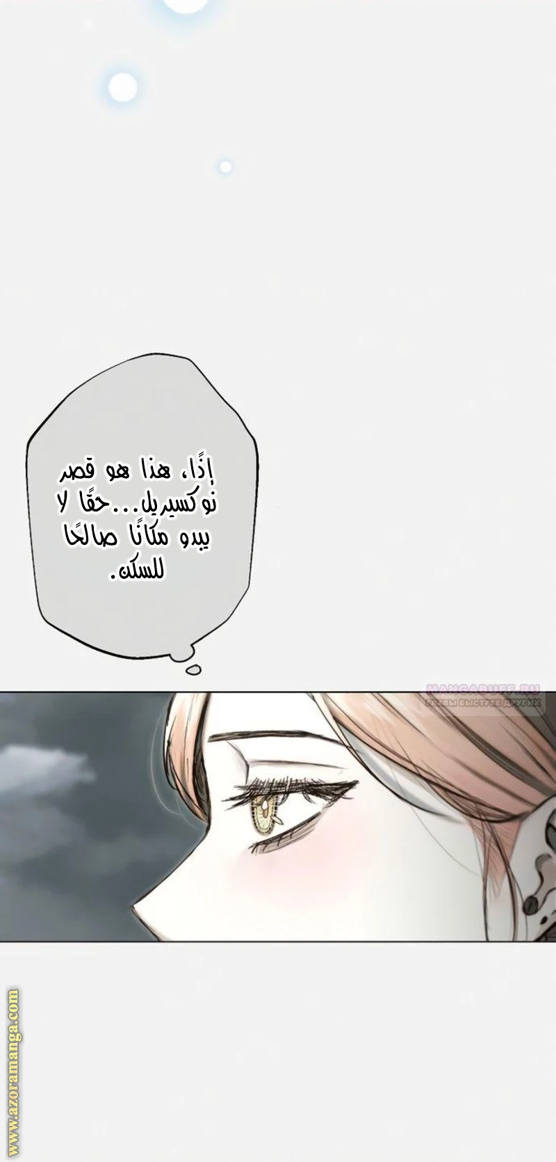 الصفحة 21