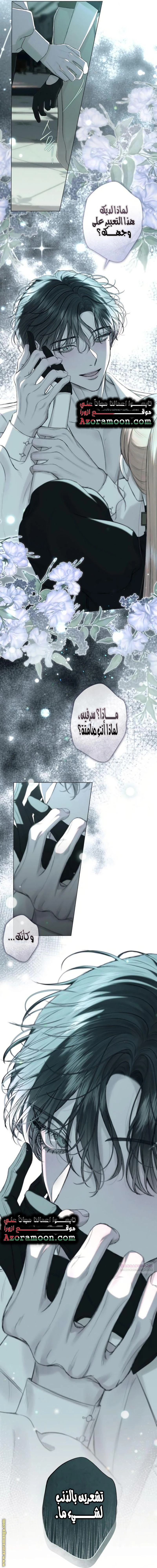 الصفحة 31
