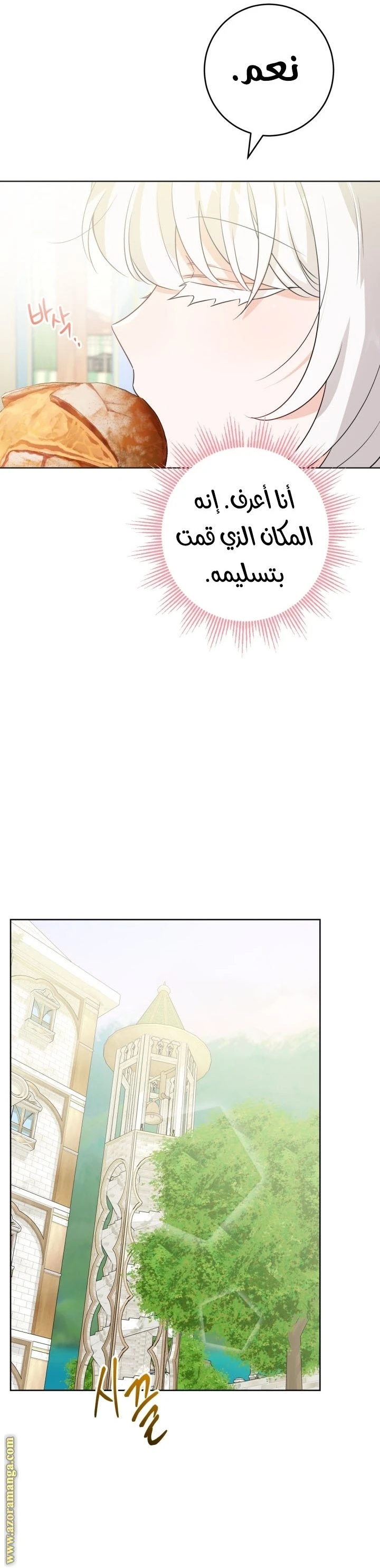 الصفحة 17