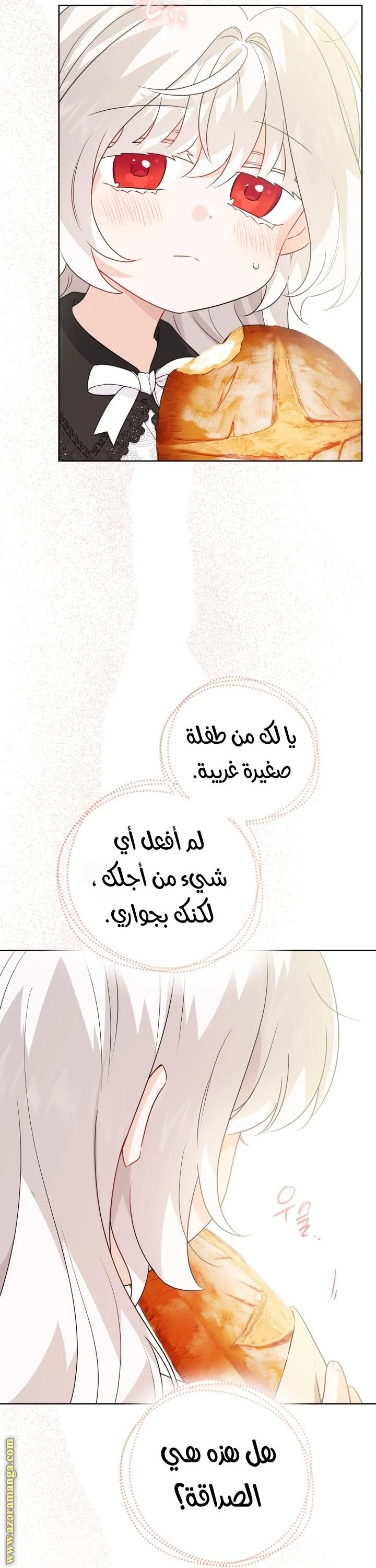 الصفحة 21