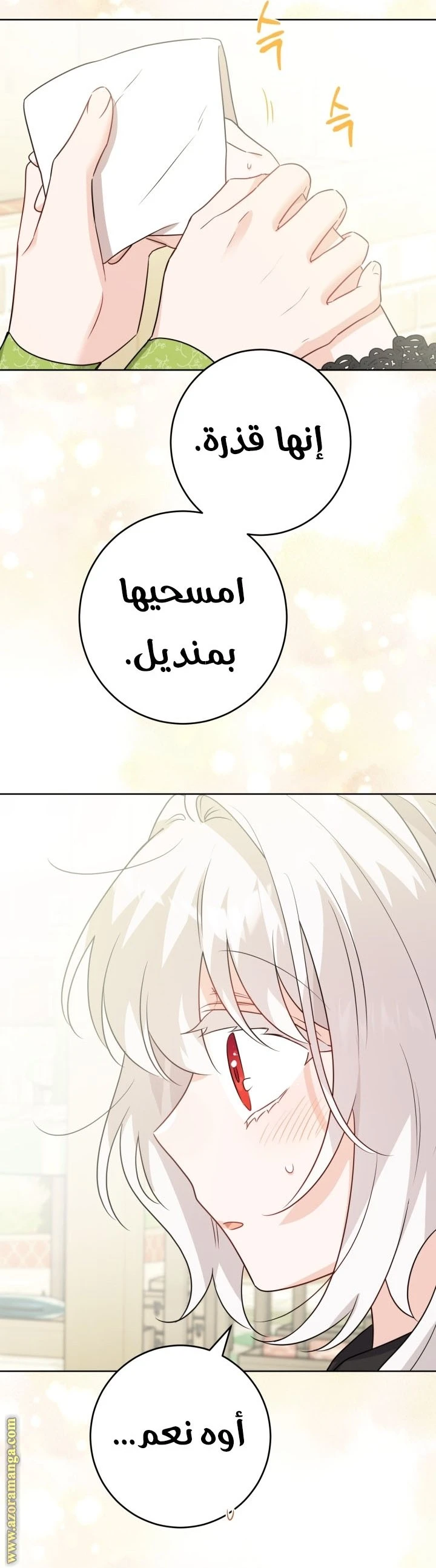 الصفحة 26