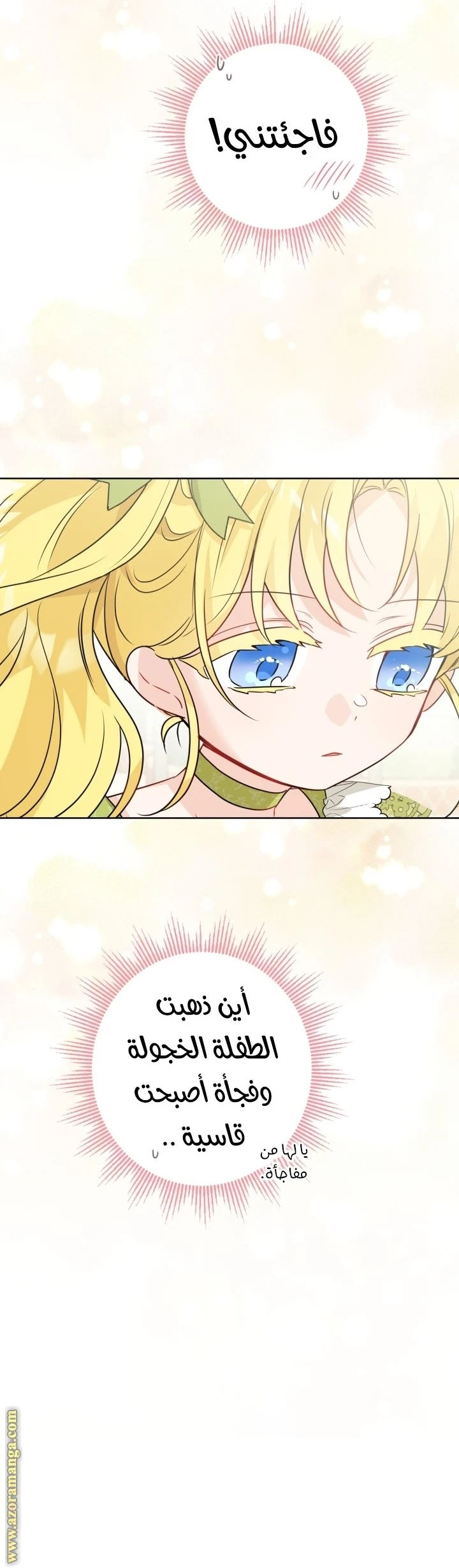 الصفحة 27