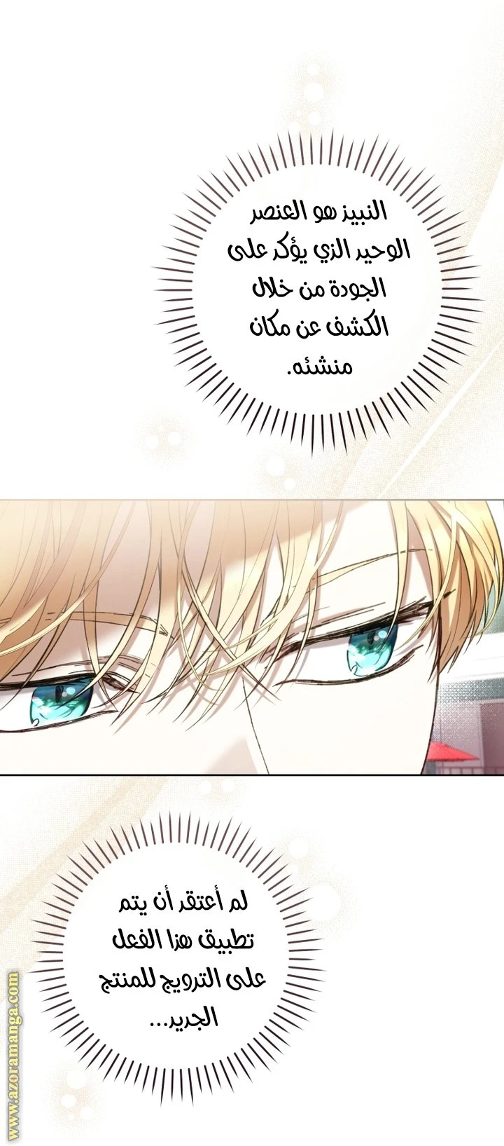 الصفحة 14