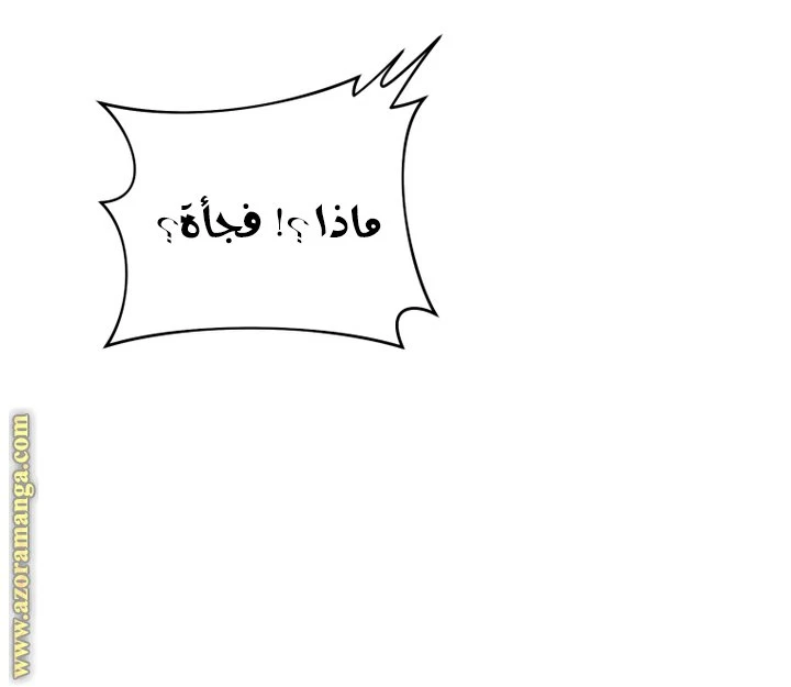 الصفحة 24