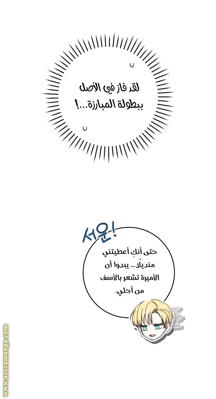 الصفحة 41