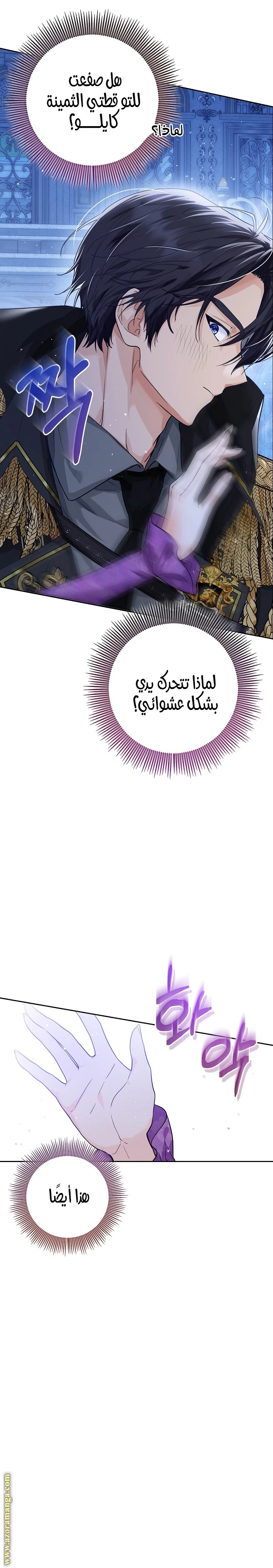 الصفحة 3