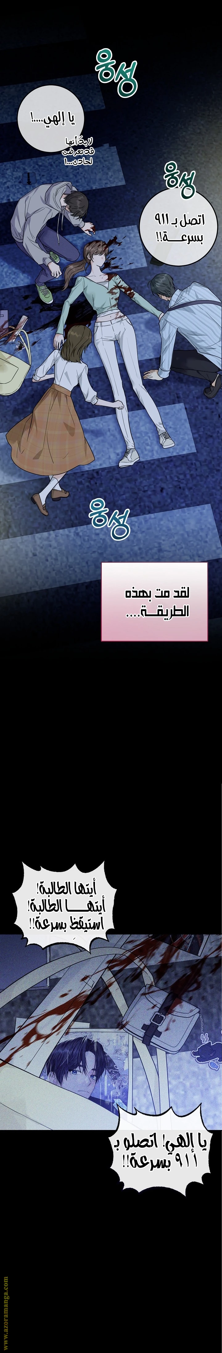 الصفحة 17