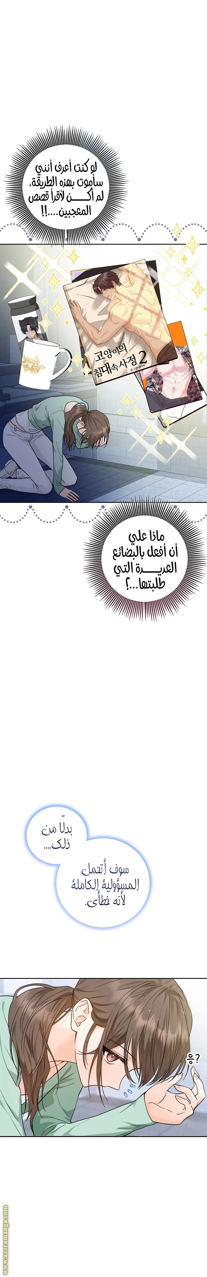 الصفحة 19