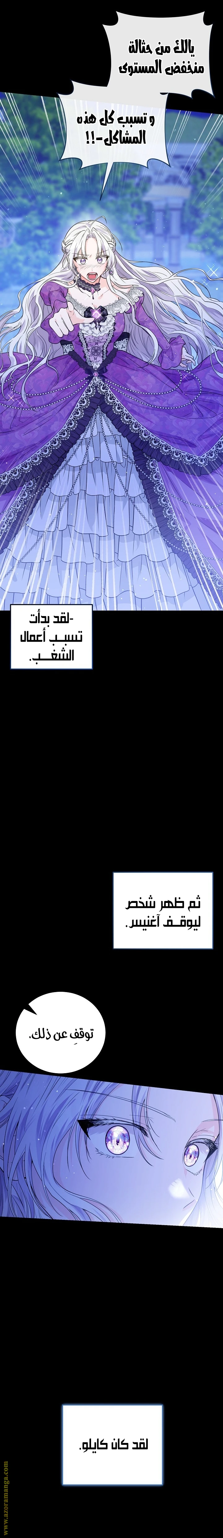 الصفحة 27