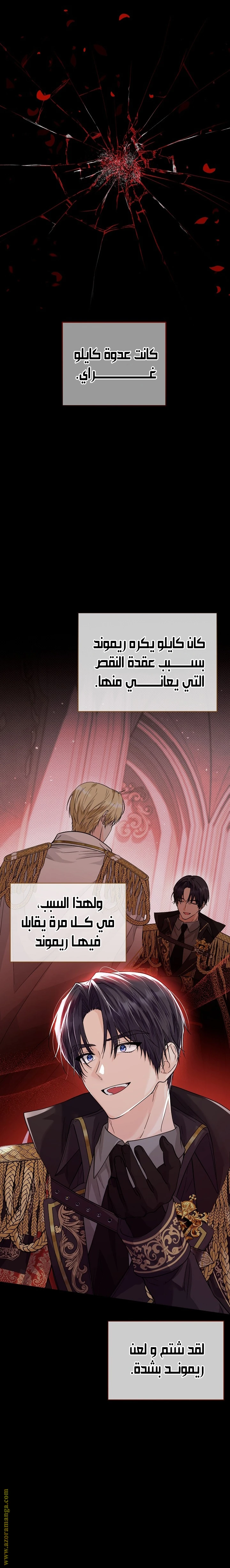 الصفحة 30