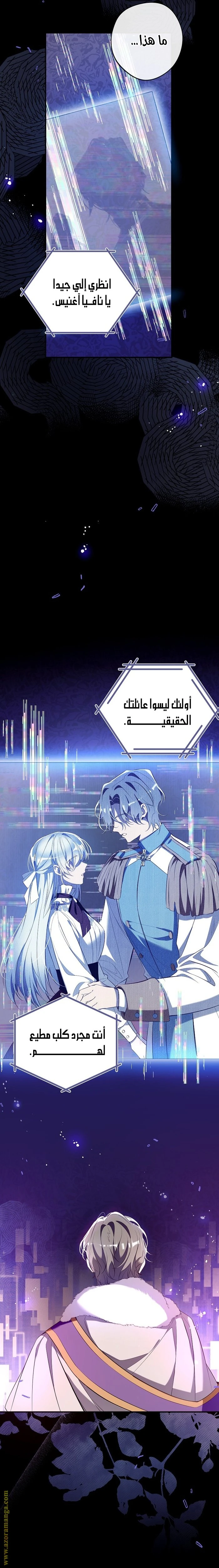 الصفحة 7