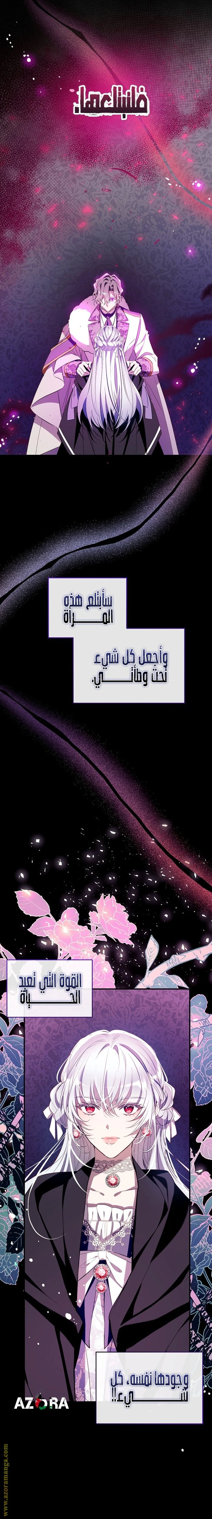 الصفحة 19