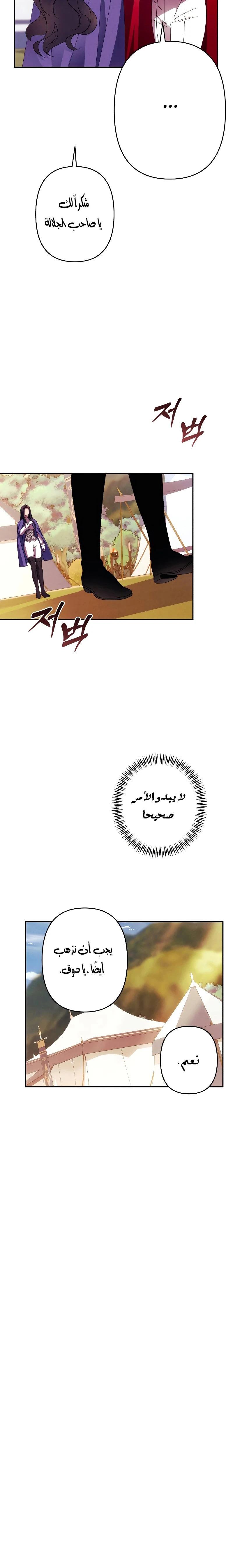 الصفحة 16