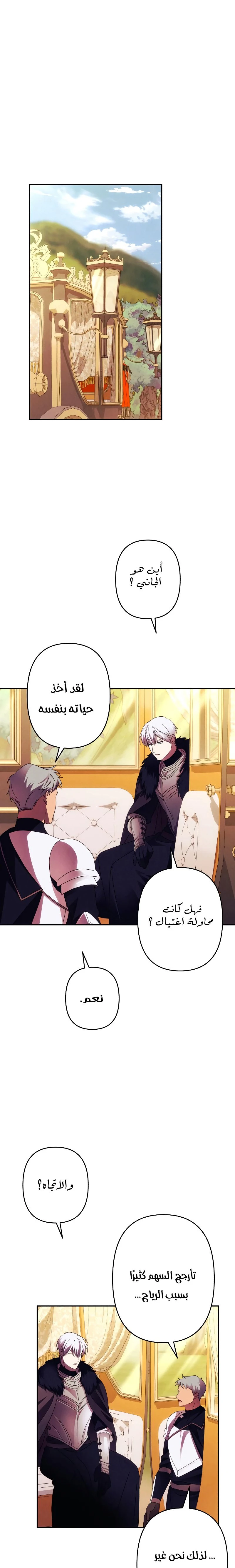 الصفحة 17