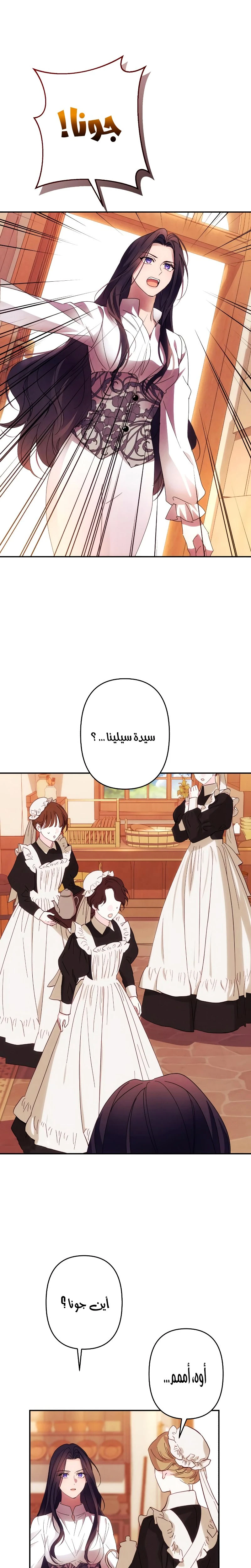 الصفحة 25