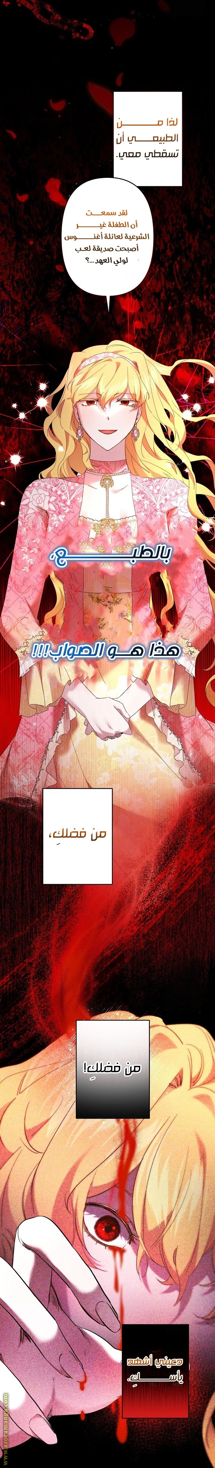 الصفحة 11