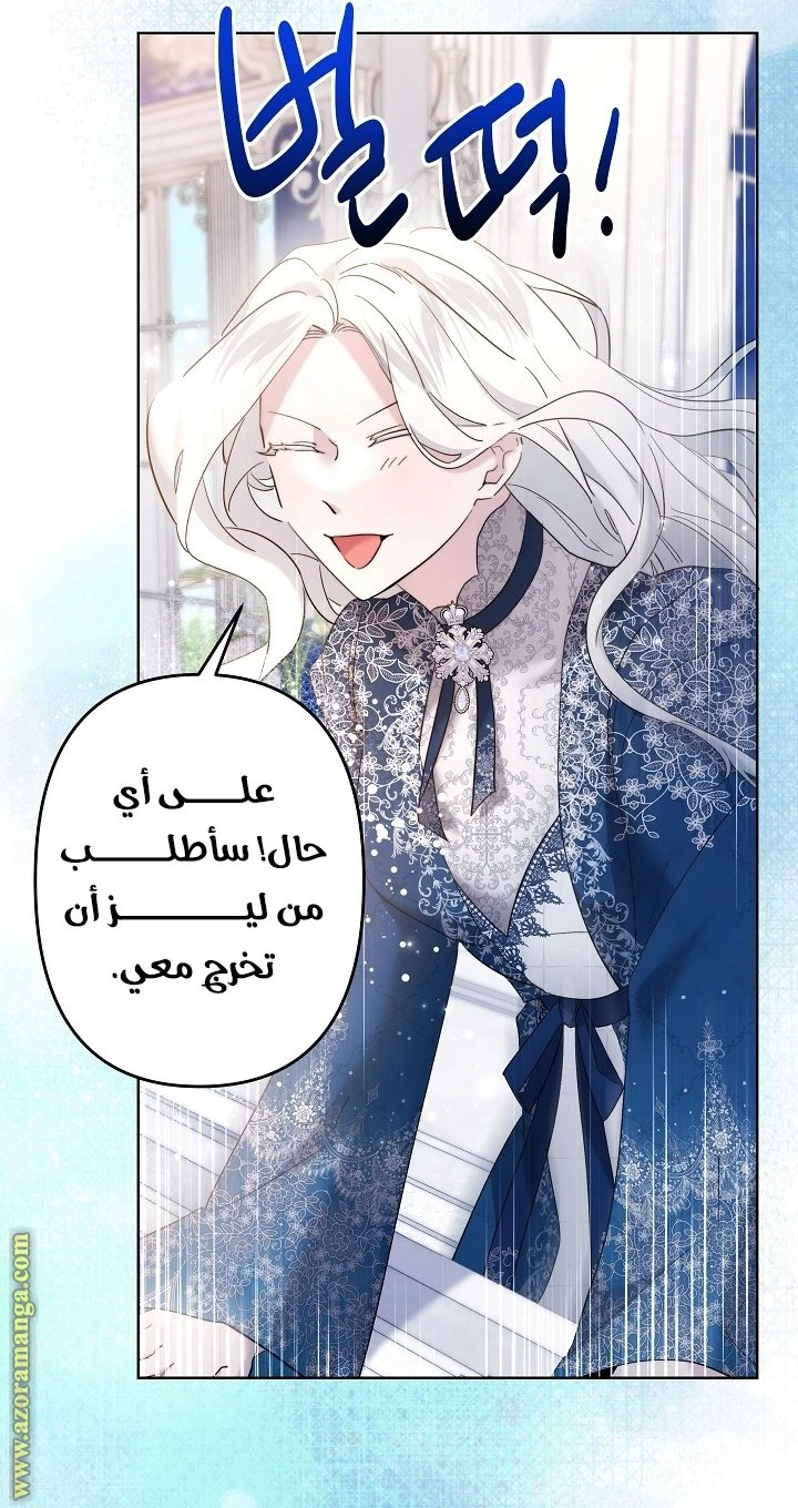 الصفحة 27