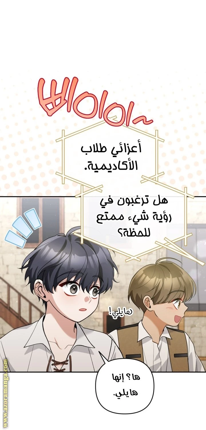 الصفحة 17