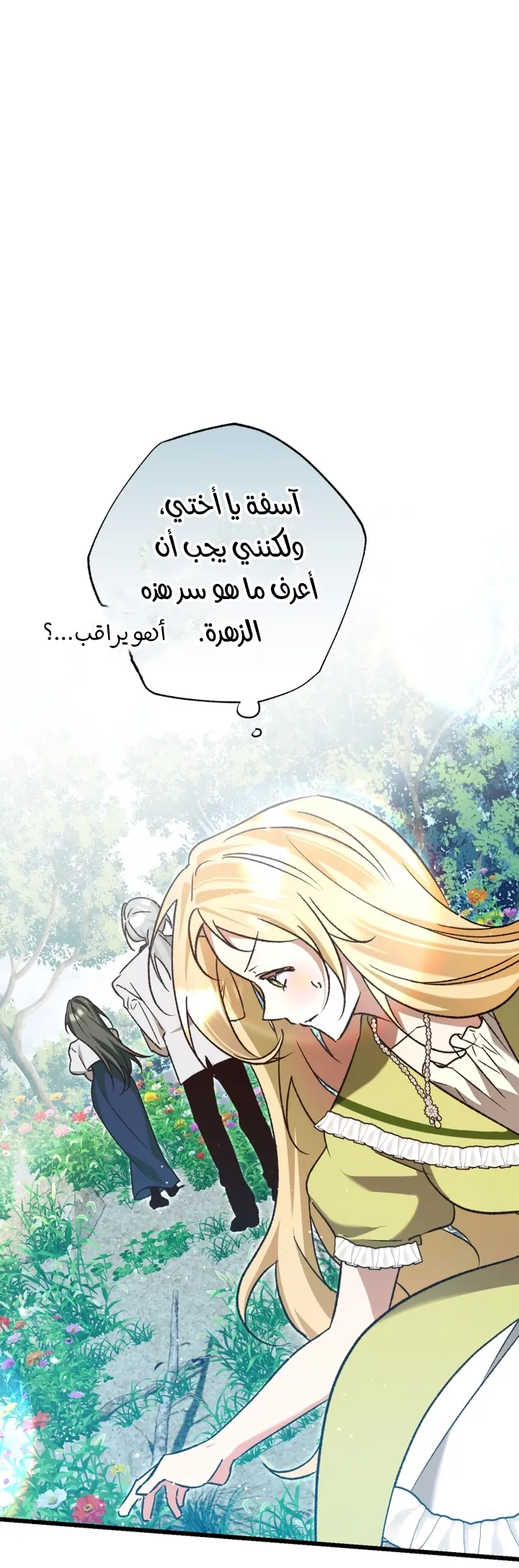 الصفحة 25