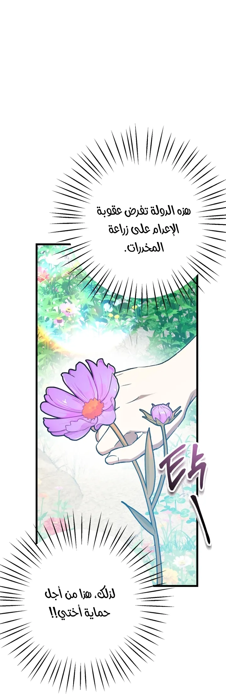 الصفحة 26