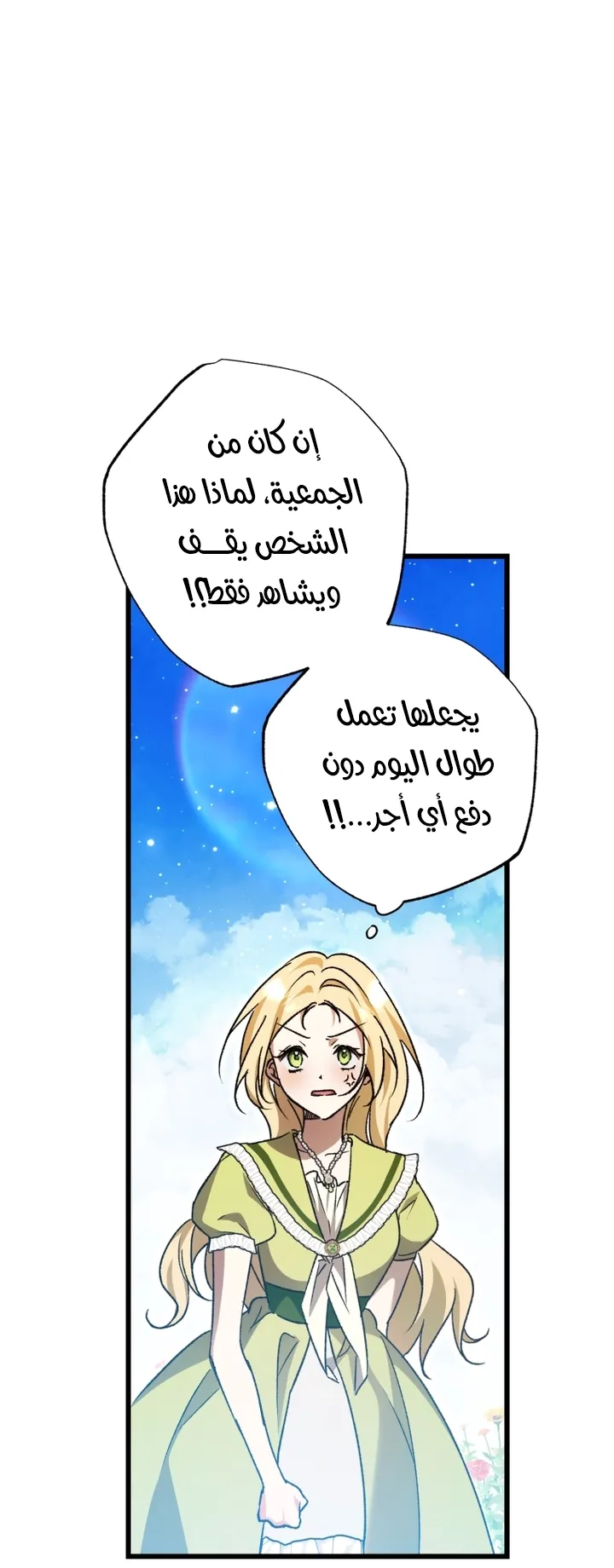 الصفحة 29